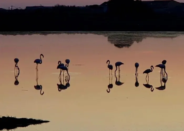 公寓 L'olivier De Nonna 格吕桑