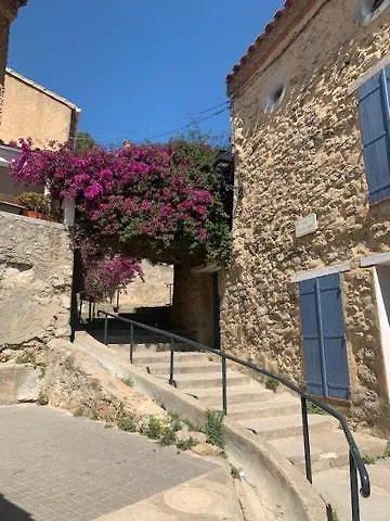 公寓 L'olivier De Nonna *